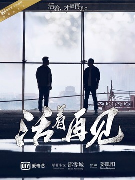 活着再见_剧情介绍_凌云猜谜语